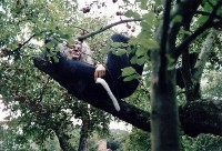 ... 'ne Frau wollt einen Kater ha'm